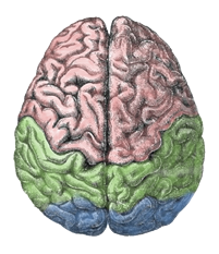 cognitivism