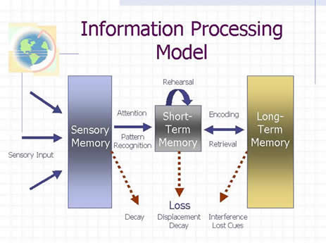 information processing model